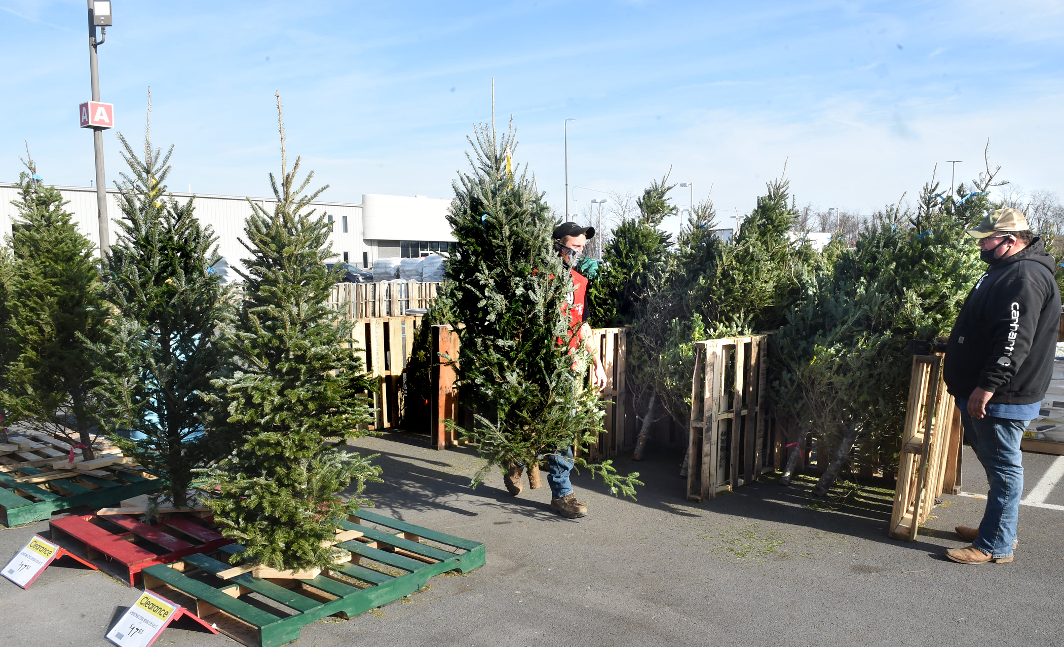 Christmas tree lots decrease this season